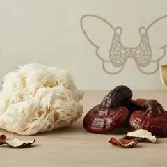 Grzyby Reishi i Soplówka jeżowata – przyprawy anti aging, które przeciwutleniacze z kuchni najsilniej opóźniają starzenie.