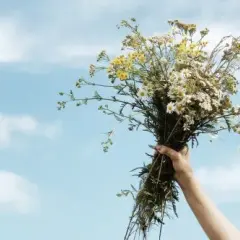 Magiczne zioła, które dodadzą dziczynie niepowtarzalnego smaku i aromatu