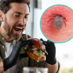 Mężczyzna z radością sięga po burgera, ale w tle kleszcz przypomina o ryzyku alergii na mięso wołowe po ukąszeniu kleszcza, czyli zespole alfa-gal.