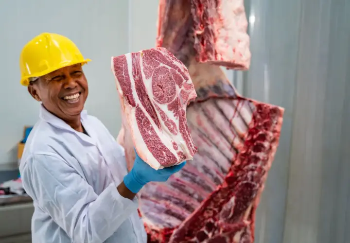 Wołowina Wagyu cena za kg – dlaczego jej koszt jest tak wysoki?