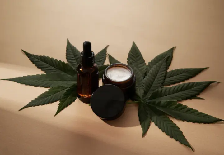 Susz konopny i produkty z suszem konopnym cbd - co warto wiedzieć? Jakie korzyści mają produkty z suszem konopnym?
