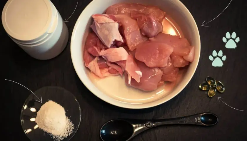 Składniki do bezpiecznego podawania surowego mięsa dla kota: mięso, proszek, kapsułki i miarka. Dieta BARF od podstaw.