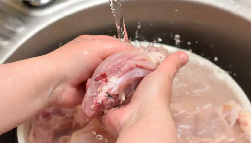 Ręce płuczą surowego kurczaka pod bieżącą wodą, co może zwiększyć wpływ mycia mięsa na rozprzestrzenianie bakterii w kuchni.