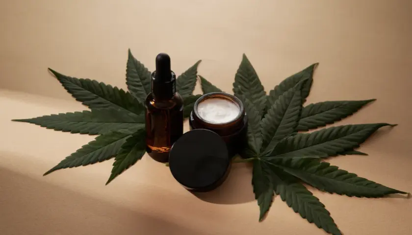 Susz konopny i produkty z suszem konopnym cbd - co warto wiedzieć? Jakie korzyści mają produkty z suszem konopnym?