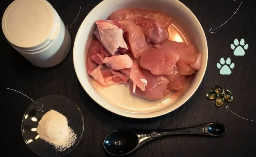 BARF dla kota - Bezpieczny start - zbilansowana dieta krok po kroku