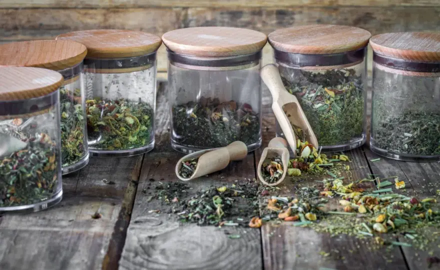 Suszenie ziół w piekarniku - Sekret idealnego koloru i aromatu