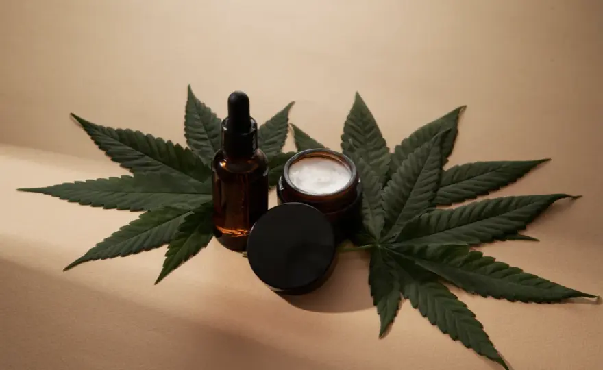 Susz konopny i produkty z suszem konopnym cbd - co warto wiedzieć? Jakie korzyści mają produkty z suszem konopnym?