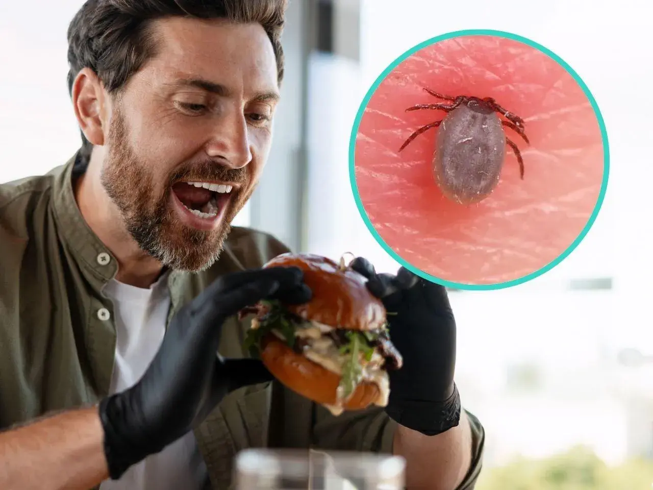 Mężczyzna z radością sięga po burgera, ale w tle kleszcz przypomina o ryzyku alergii na mięso wołowe po ukąszeniu kleszcza, czyli zespole alfa-gal.