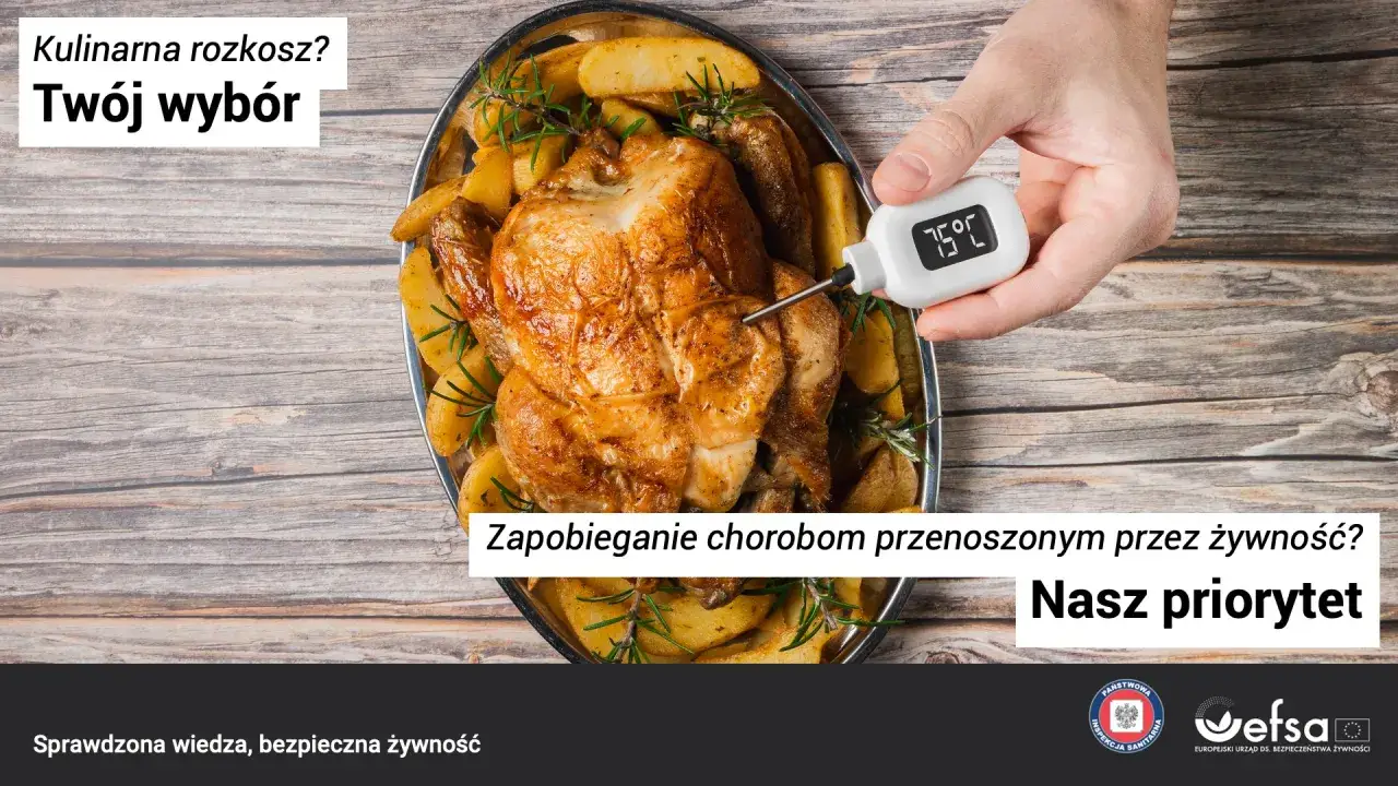 Czy zjedzenie niedosmażonego kurczaka zawsze kończy się zatruciem pokarmowym? Sprawdź temperaturę mięsa termometrem. Nasz priorytet to bezpieczeństwo żywności.