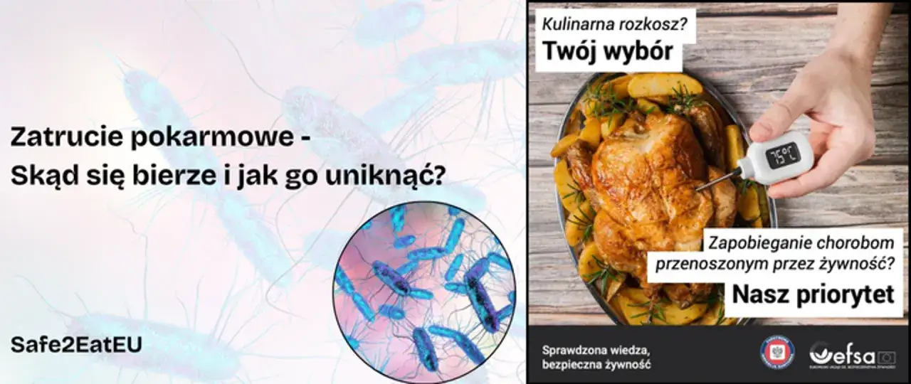 Czy zjedzenie niedosmażonego kurczaka zawsze kończy się zatruciem pokarmowym? Sprawdź, jak uniknąć chorób przenoszonych przez żywność.