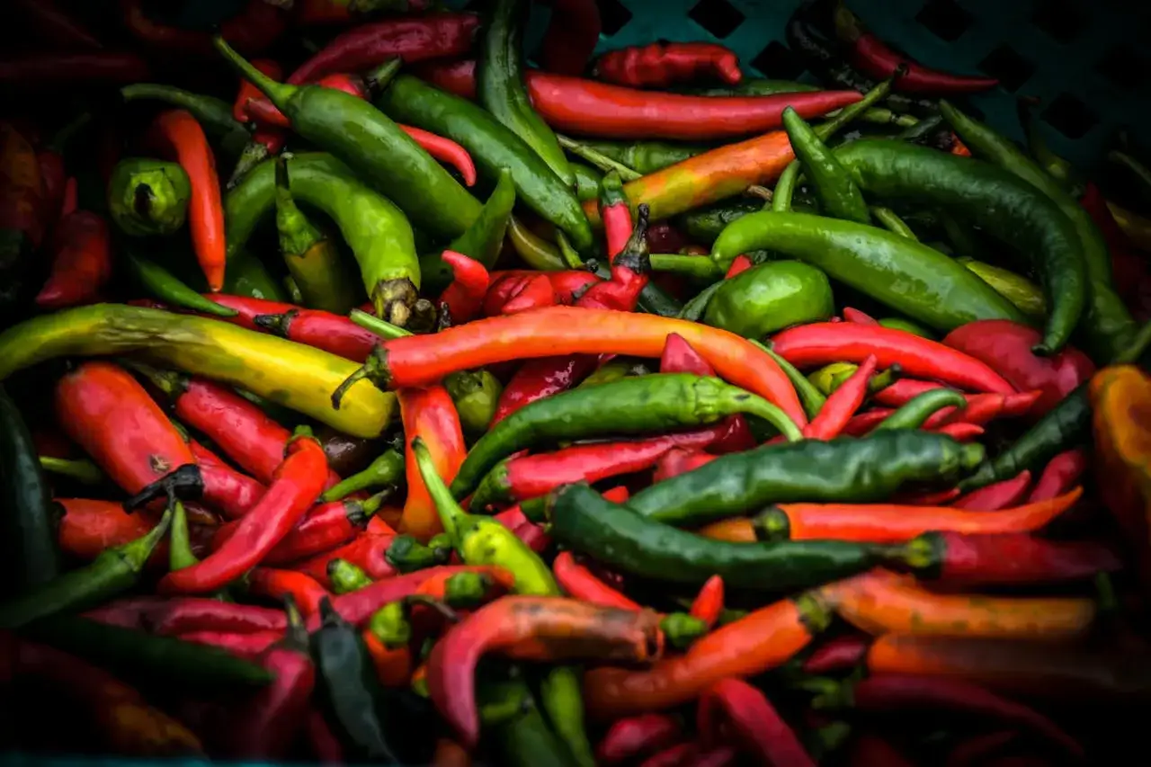 Ostra papryczka chili – wpływ na metabolizm i odchudzanie. Fakty i mity.